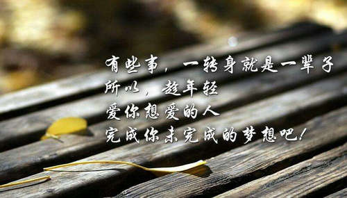 《时光老人与流浪汉》读后感作文350字