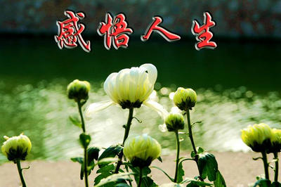2024年精选风景好听的句子集合49句