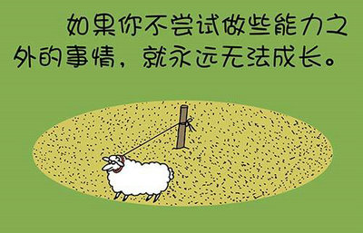 明天要开运动会了作文400字