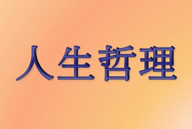 放风筝作文500字（5篇）