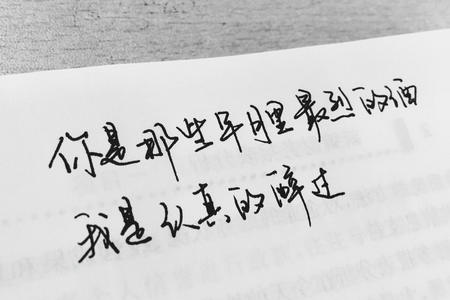 清明游公园日记250字