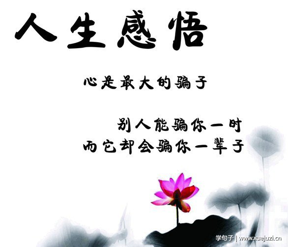 秘密花园读后感300字