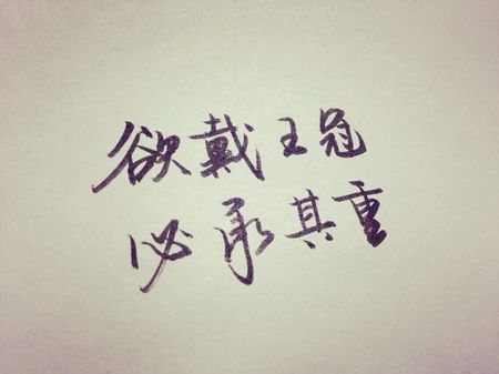 感悟.清明作文800字