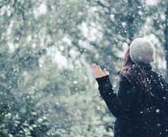 ()梅()雪的成语，（）雪（）梅 填四字成语