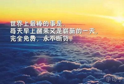 我发现了蚂蚁的秘密作文300字