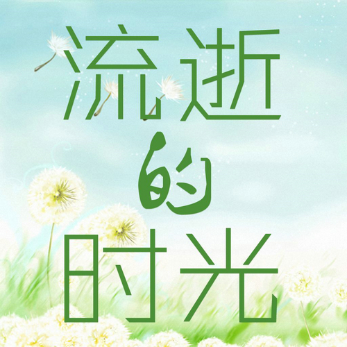 我和第一名作文800字