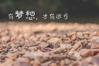 成语什么相告，成语,什么什么相告