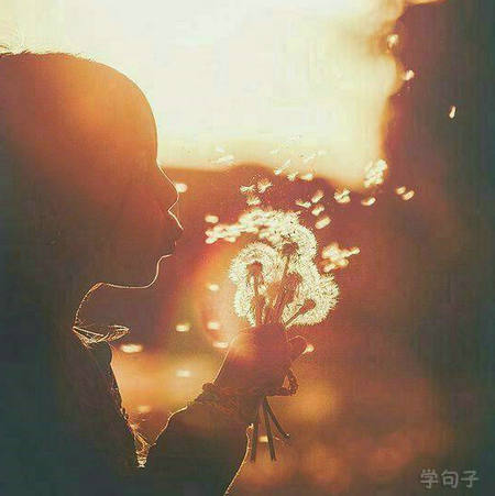 正能量的句子集锦65句