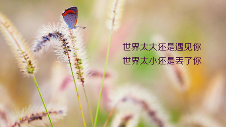 2025年有关形容时间过得快的句子39句